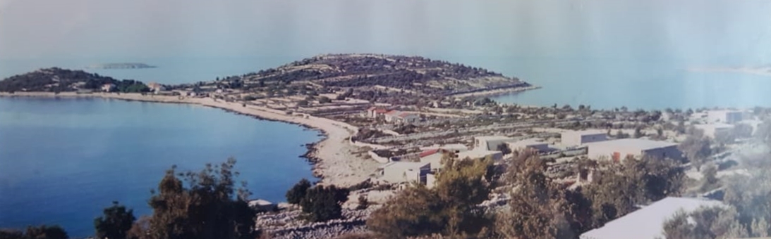 Sevid 1979.